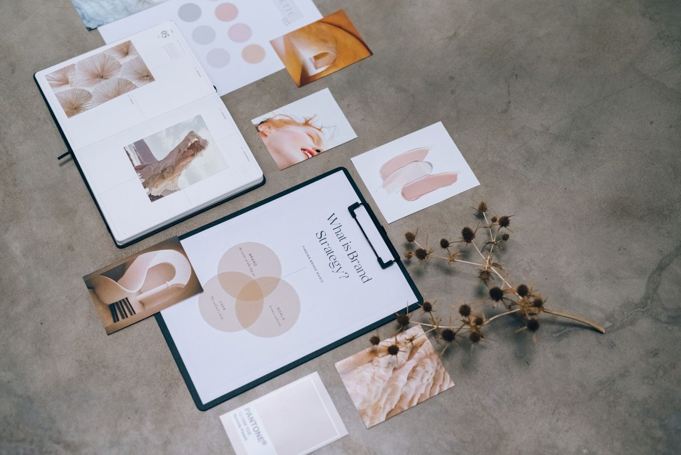 Brand identity documents and business cards laid out on a desk